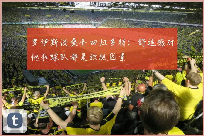 罗伊斯谈桑乔回归多特：舒适感对他和球队都是积极因素